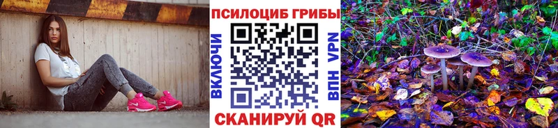 Псилоцибиновые грибы прущие грибы  Купить  Снежинск 